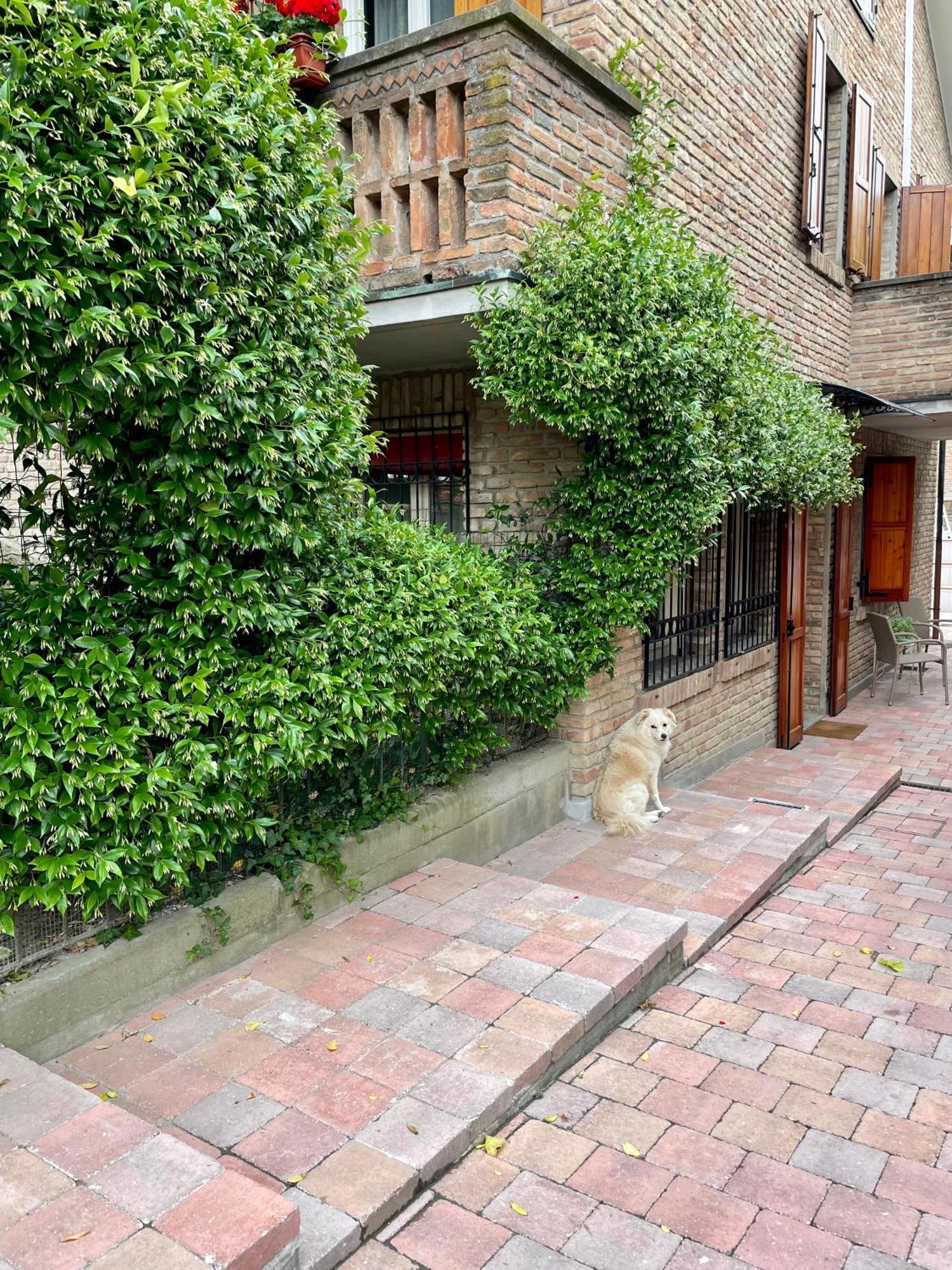 费拉拉Casa Matilde Piano Terra 100Mq Con Parking E Piscina公寓 外观 照片